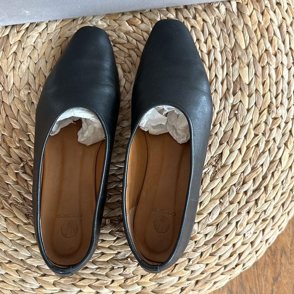 Coclico Gen Flat in Size 40.5/9.5